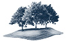 Lawn Tcare