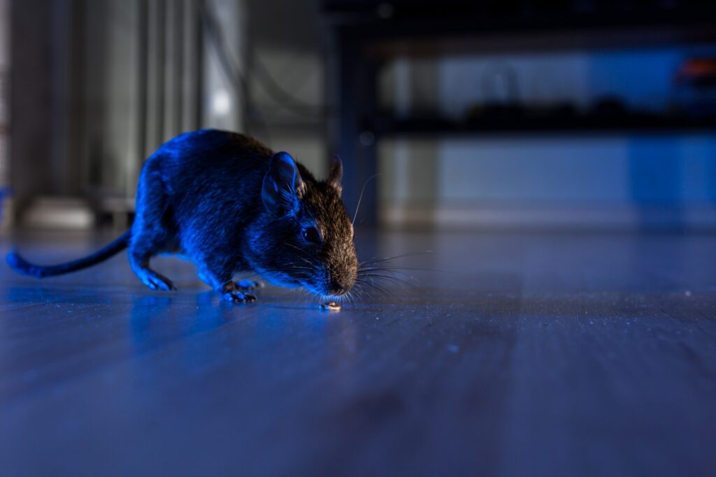 blog_img